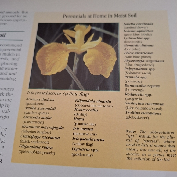 Time Life Book on Perennials - Picture 7 of 9
